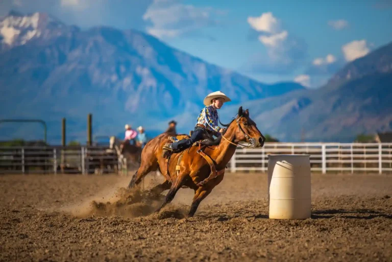 How to Claim Bonuses for Horse Racing Betting?